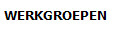  WERKGROEPEN
